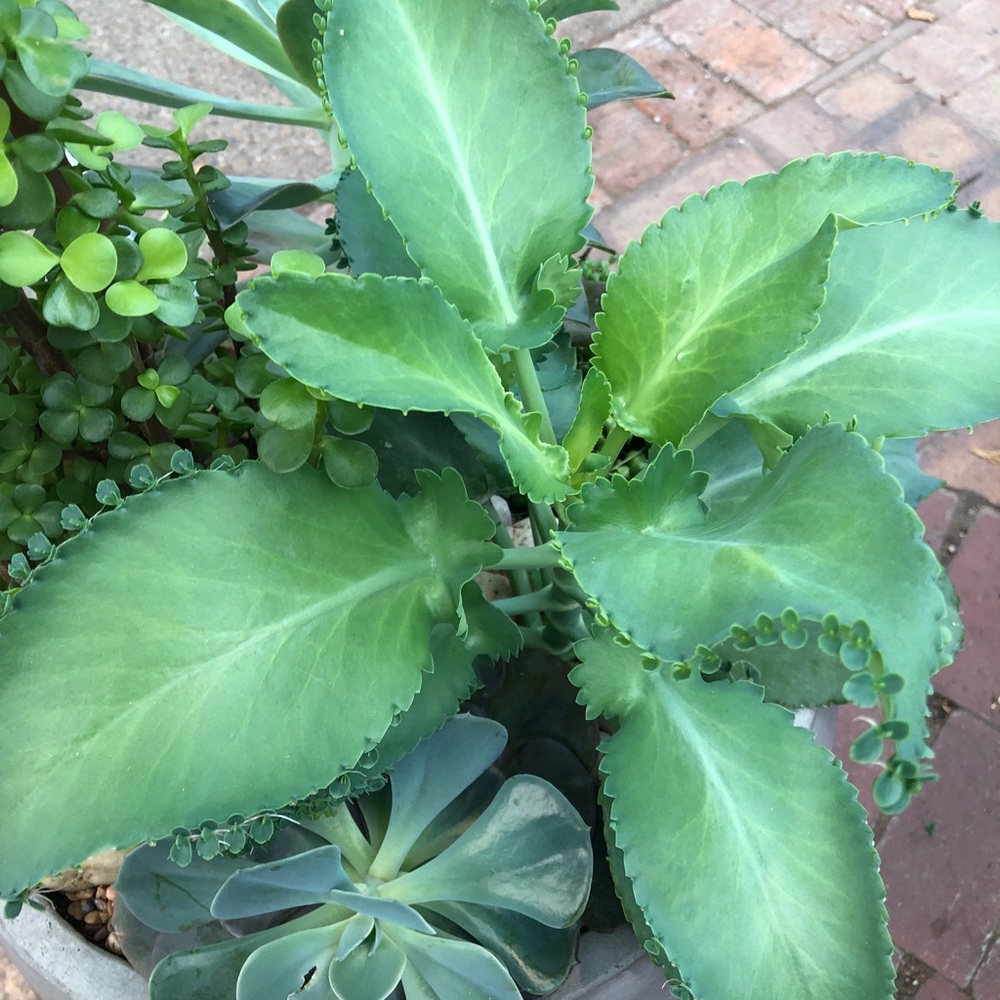 CLOSET CLEAR OUT! Make an offer!